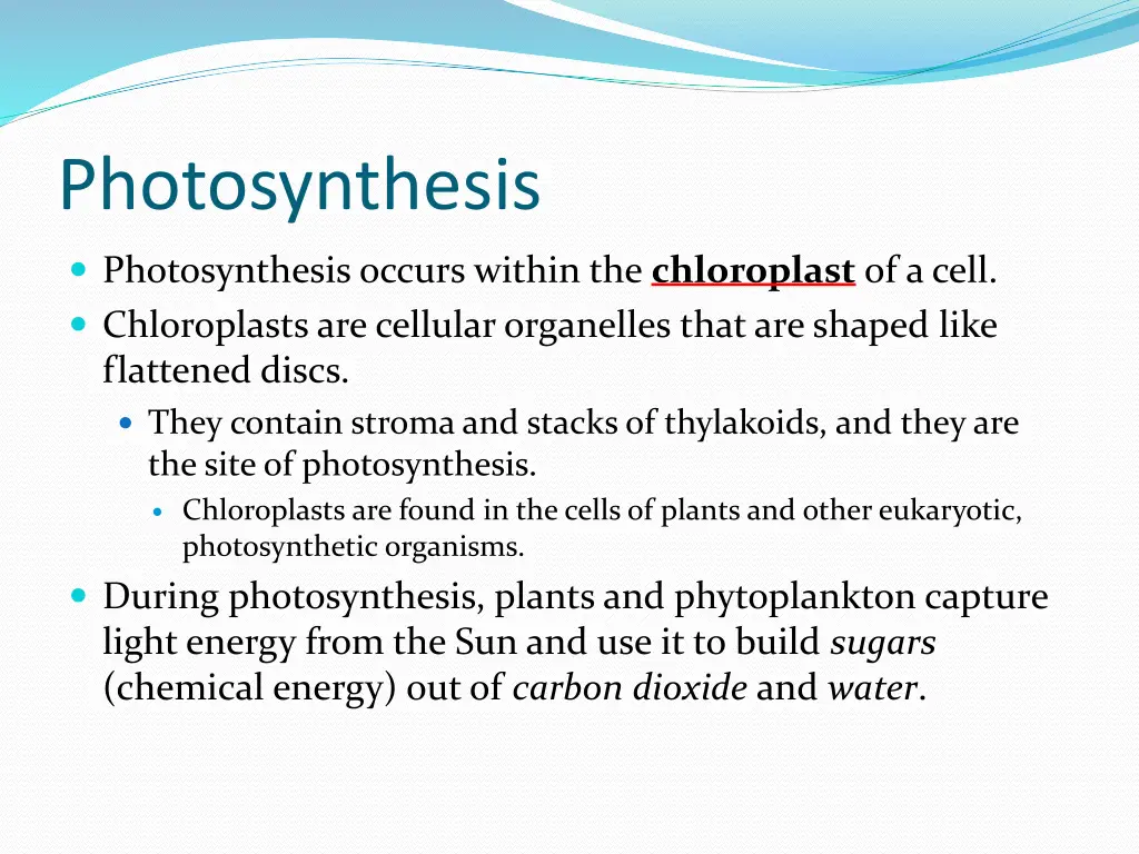 photosynthesis