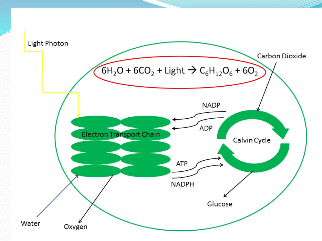 slide36