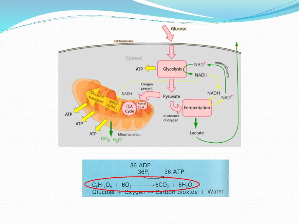slide38