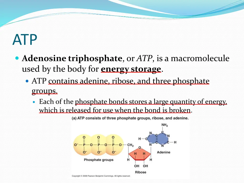 slide41