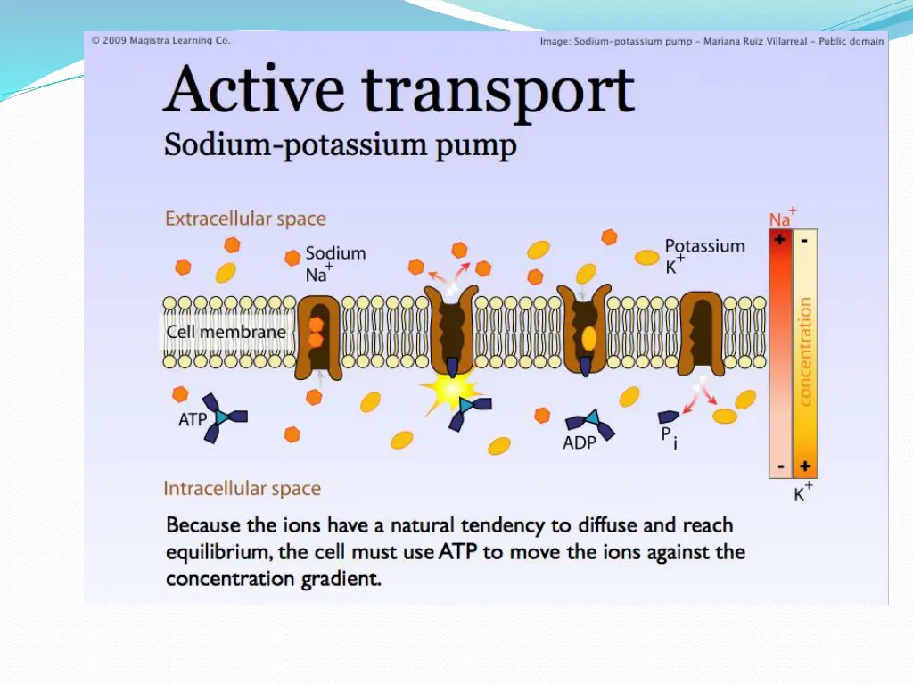 slide6