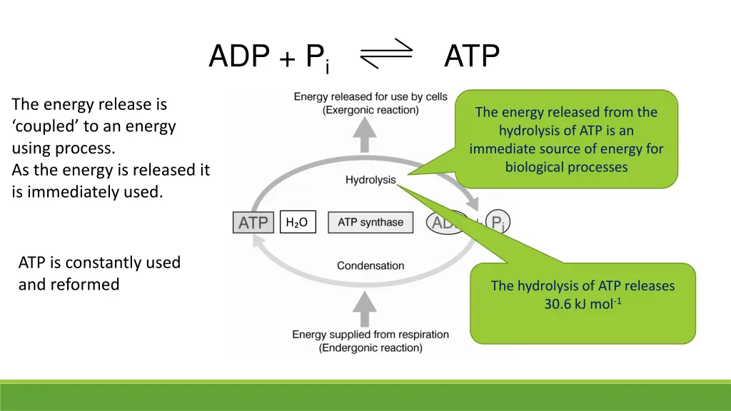 adp p i