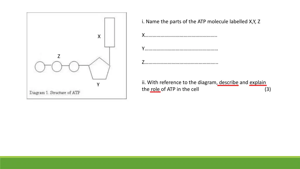 i name the parts of the atp molecule labelled