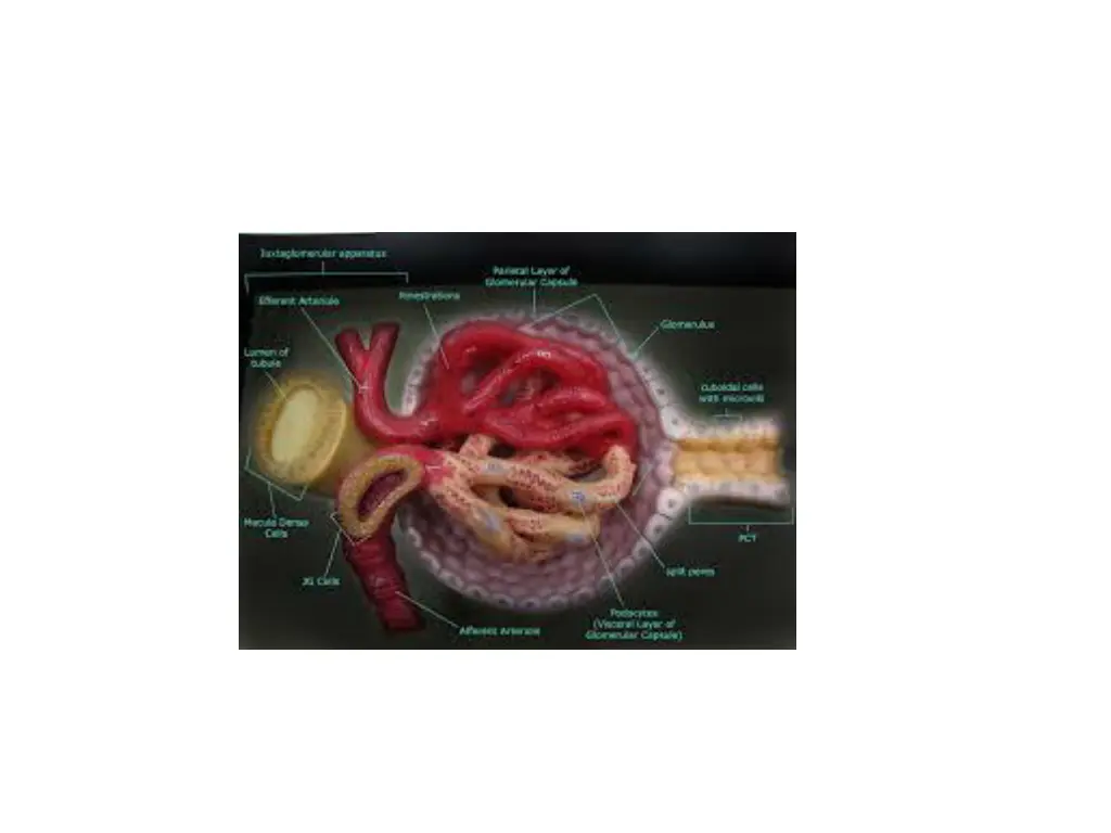 slide32
