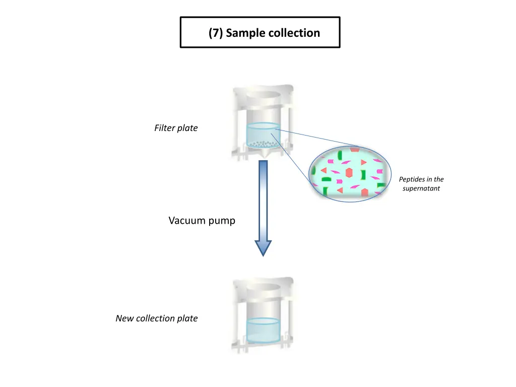 7 sample collection