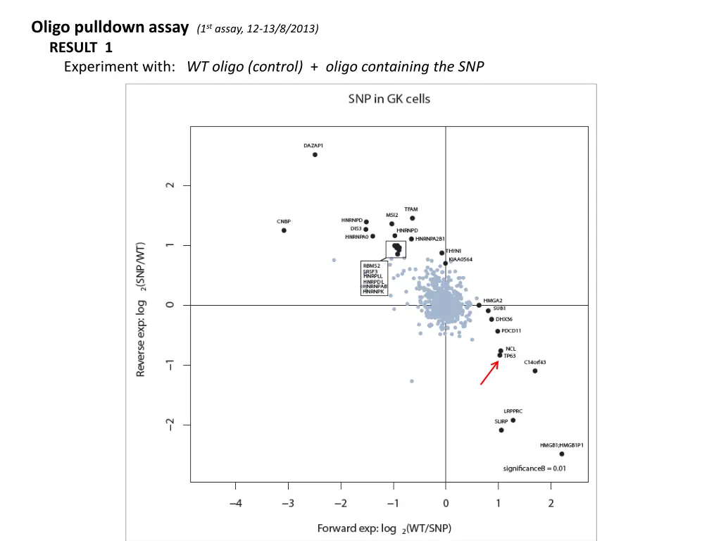 oligo pulldown assay 1 st assay 12 13 8 2013