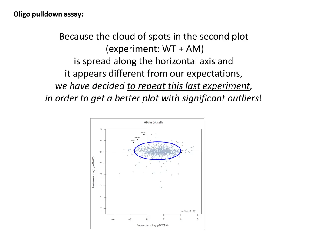 oligo pulldown assay