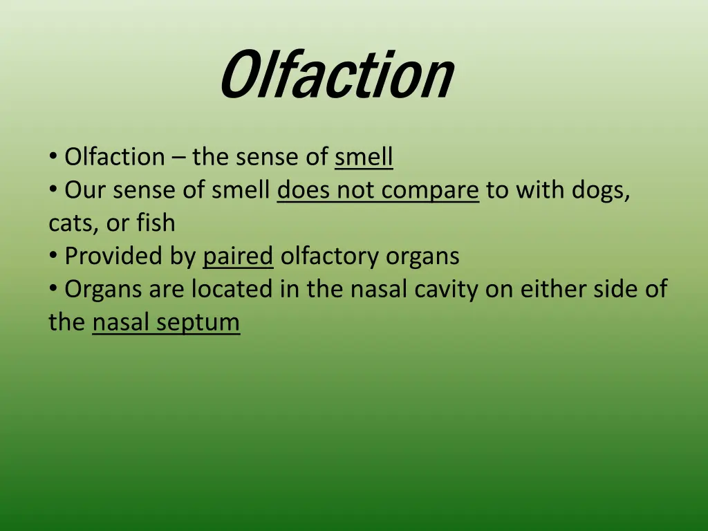 olfaction 1