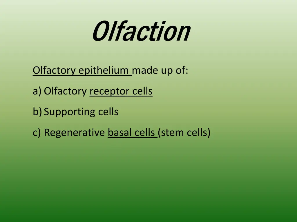 olfaction 3