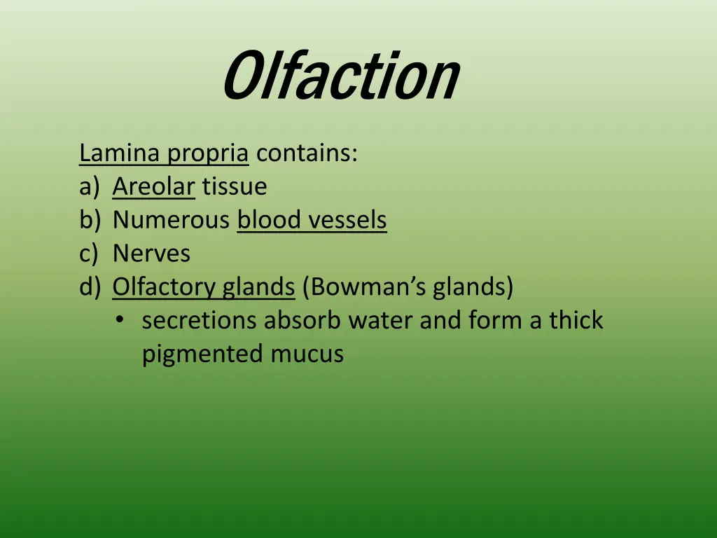 olfaction 4