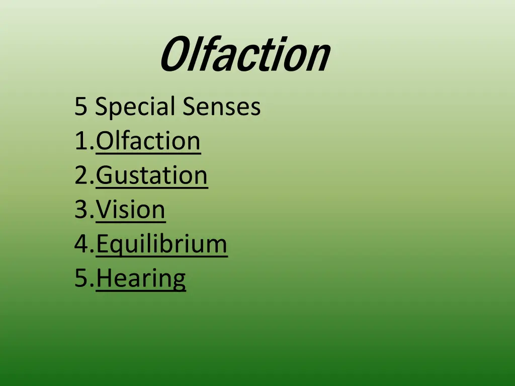 olfaction