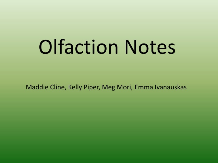 olfaction notes
