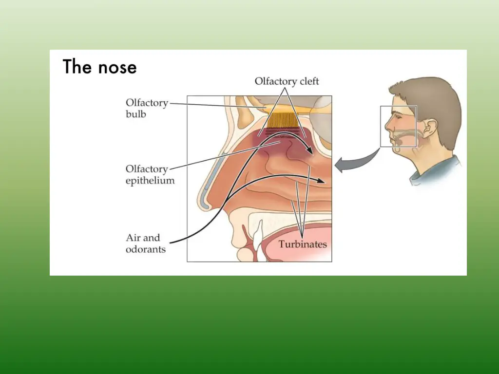slide7