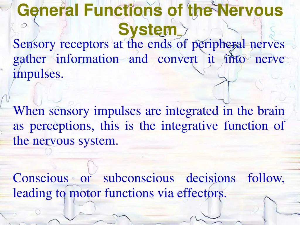 general functions of the nervous system sensory