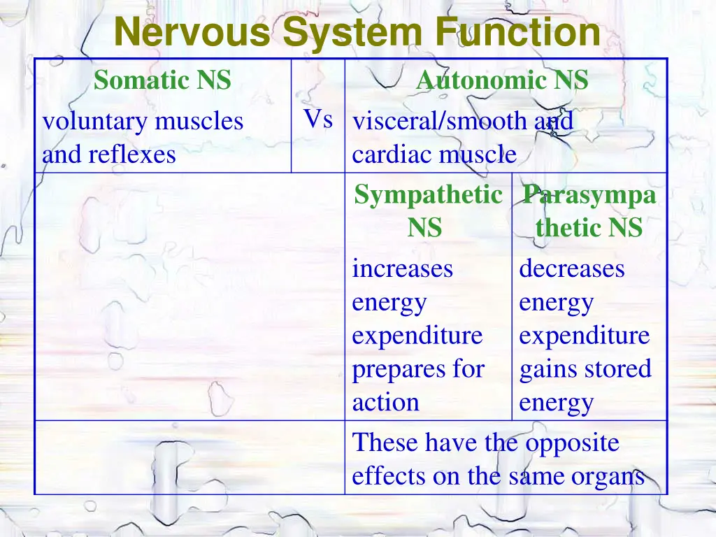 nervous system function somatic ns voluntary
