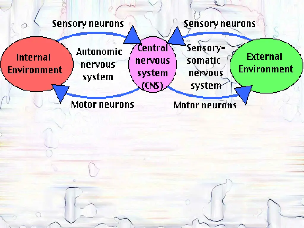 slide43