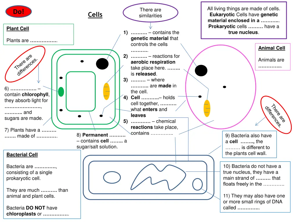 all living things are made of cells eukaryotic 1
