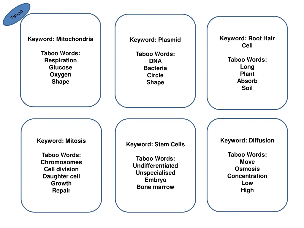keyword root hair cell