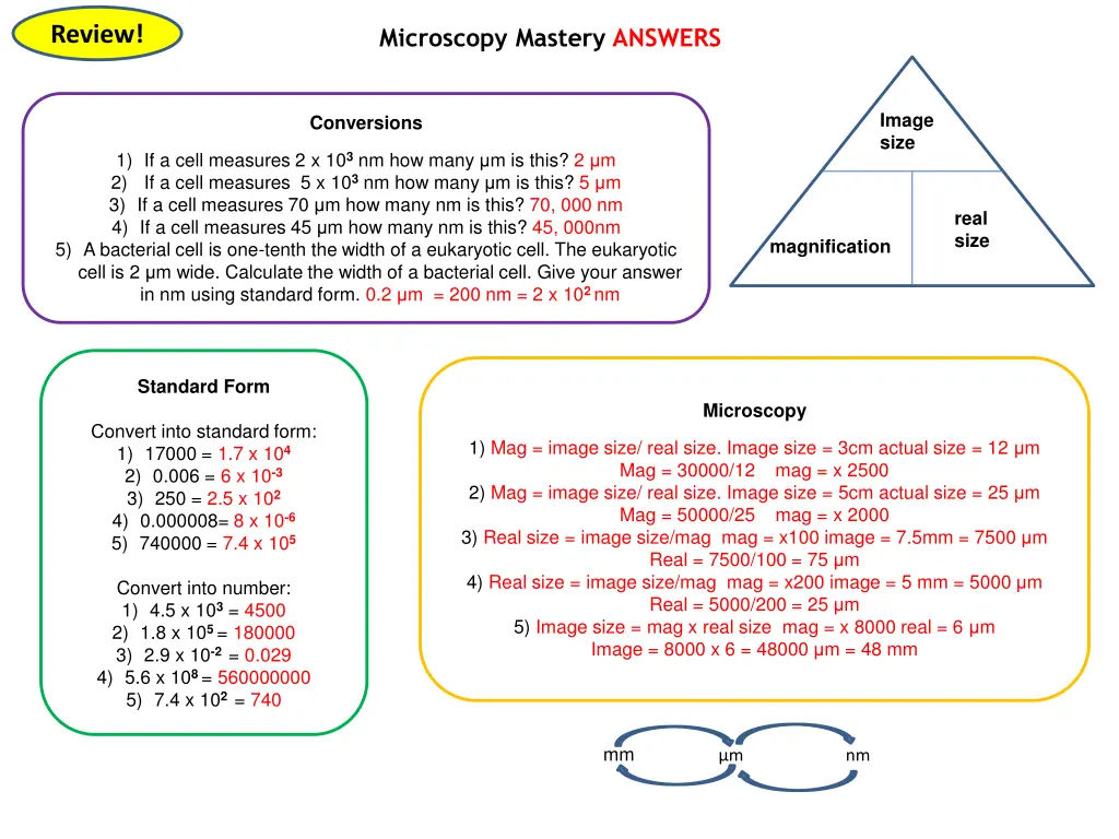 review 1
