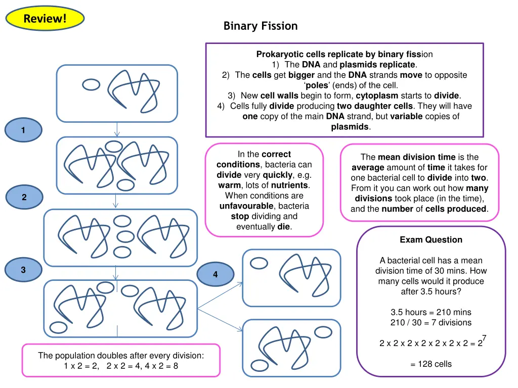 review 4