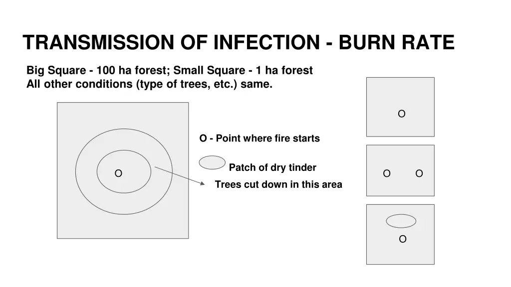 transmission of infection burn rate