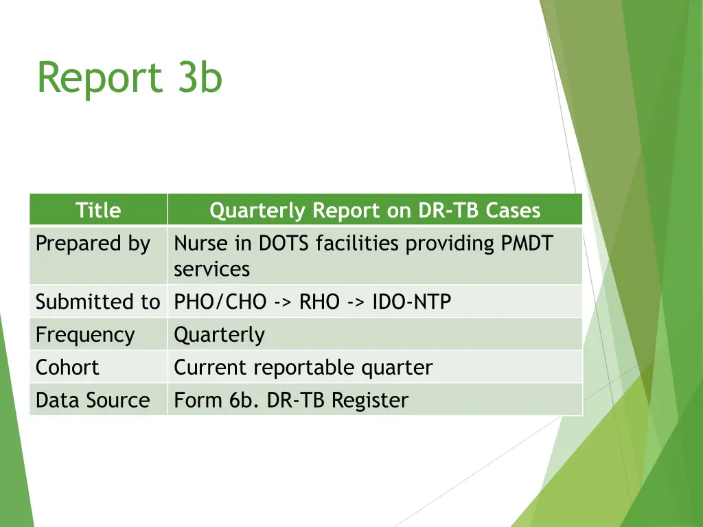 report 3b