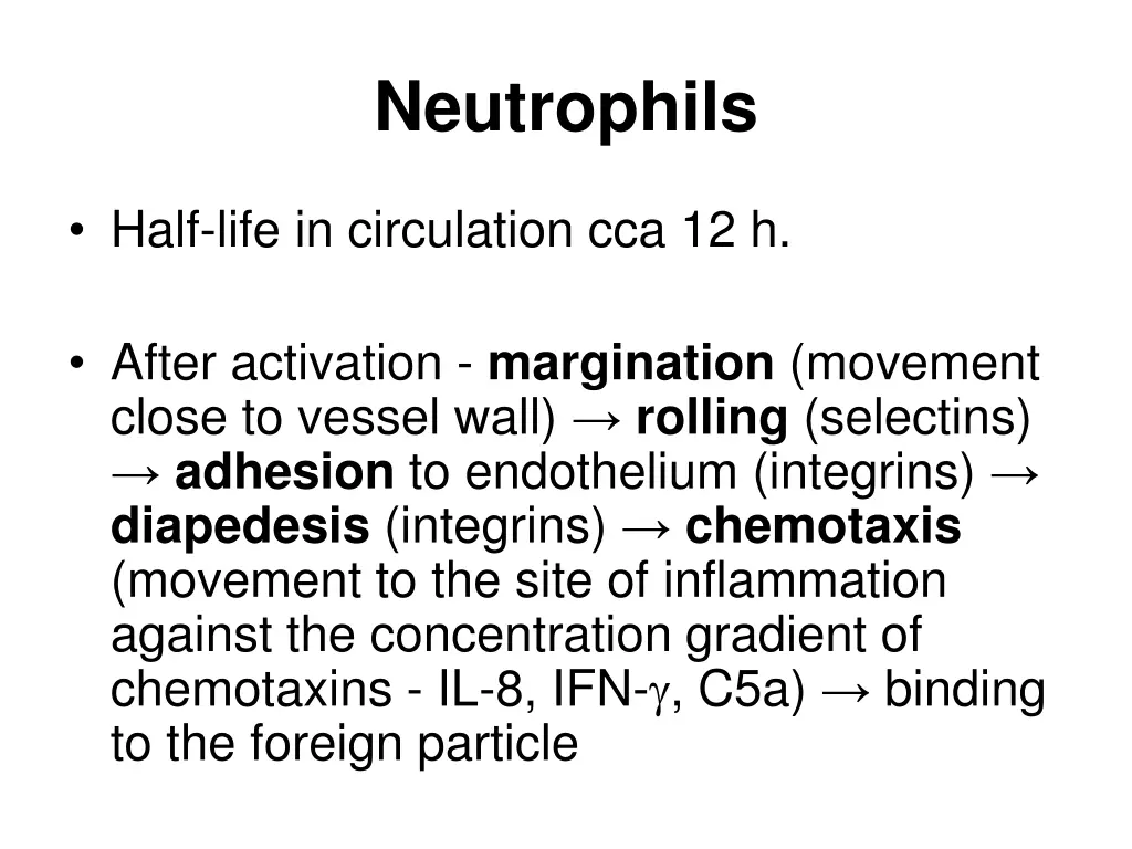neutrophils 1