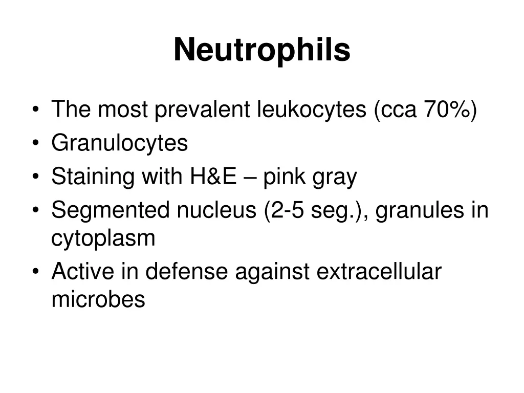 neutrophils