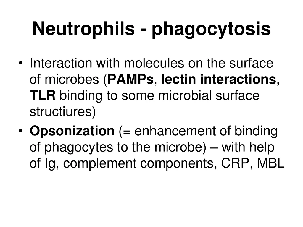 neutrophils phagocytosis