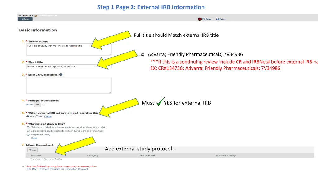 step 1 page 2 external irb information
