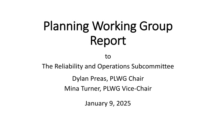 planning working group planning working group