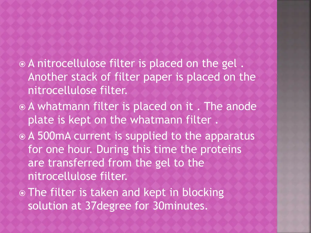 a nitrocellulose filter is placed