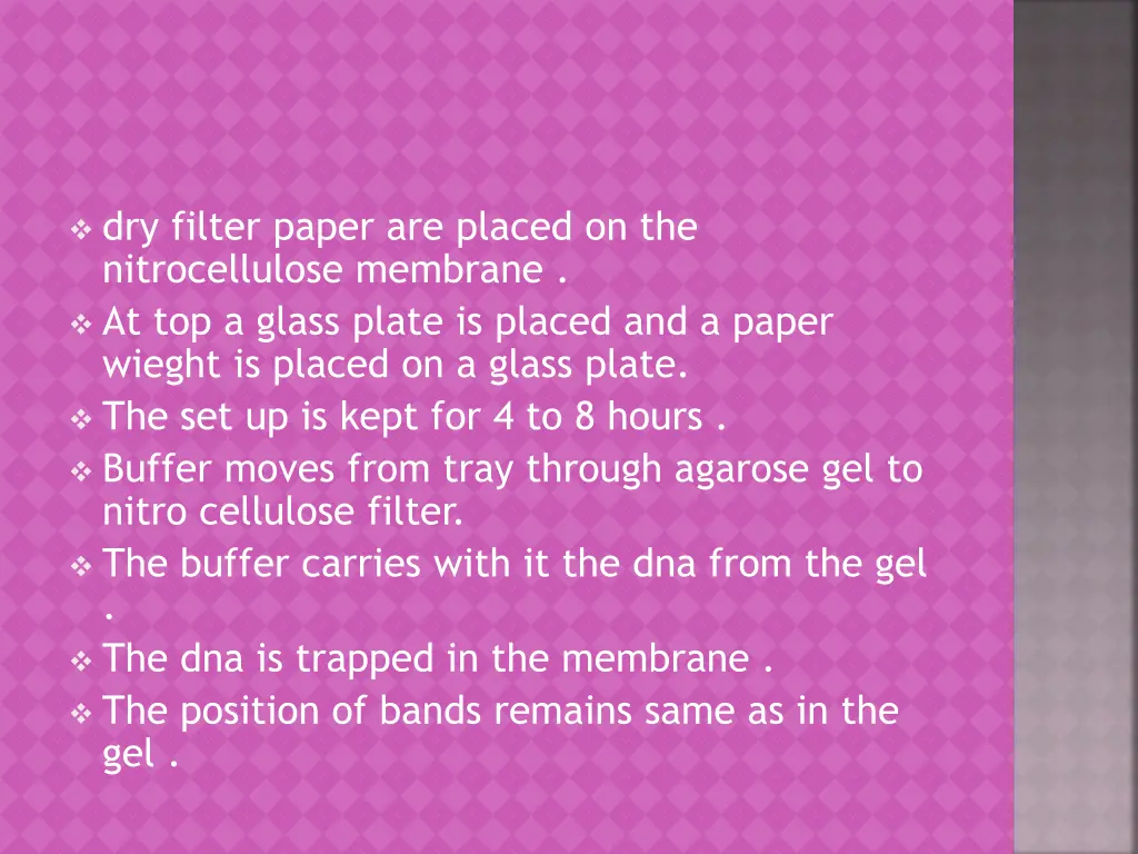 dry filter paper are placed on the nitrocellulose