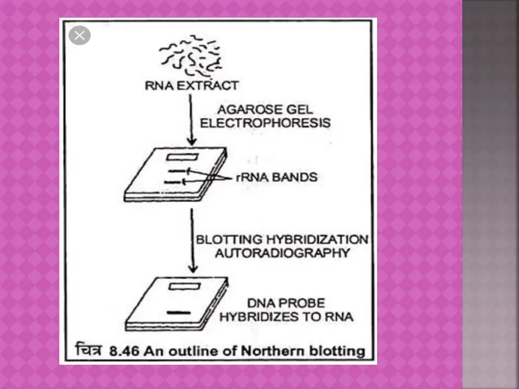 slide14