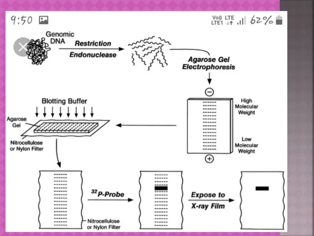 slide7