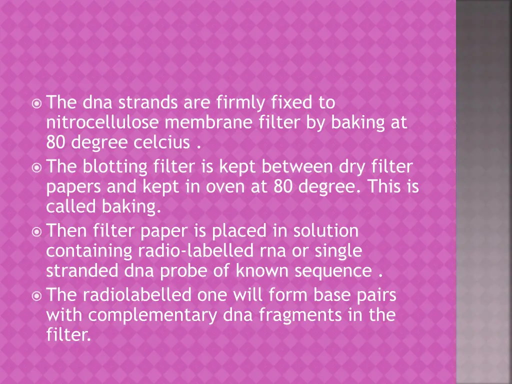 the dna strands are firmly fixed