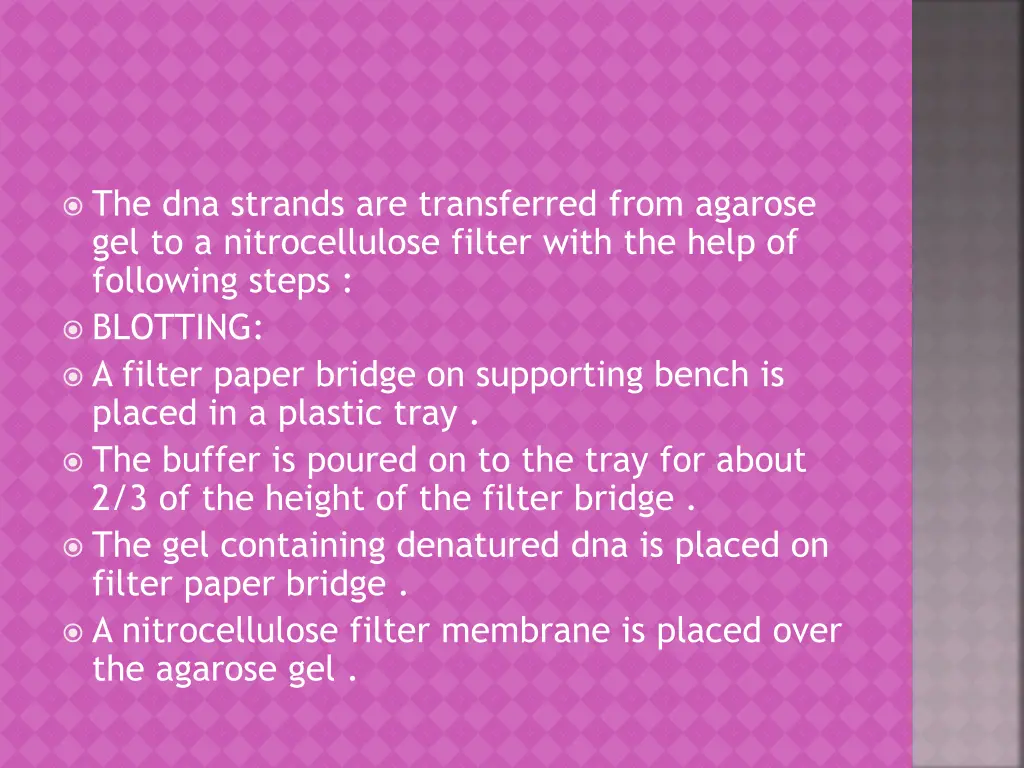 the dna strands are transferred from agarose