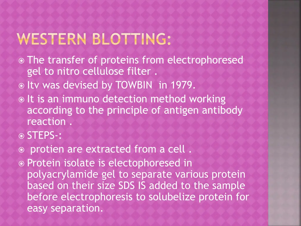 western blotting