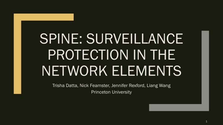 spine surveillance protection in the network