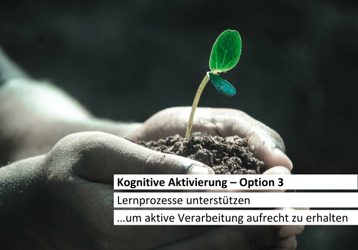 kognitive aktivierung option 3