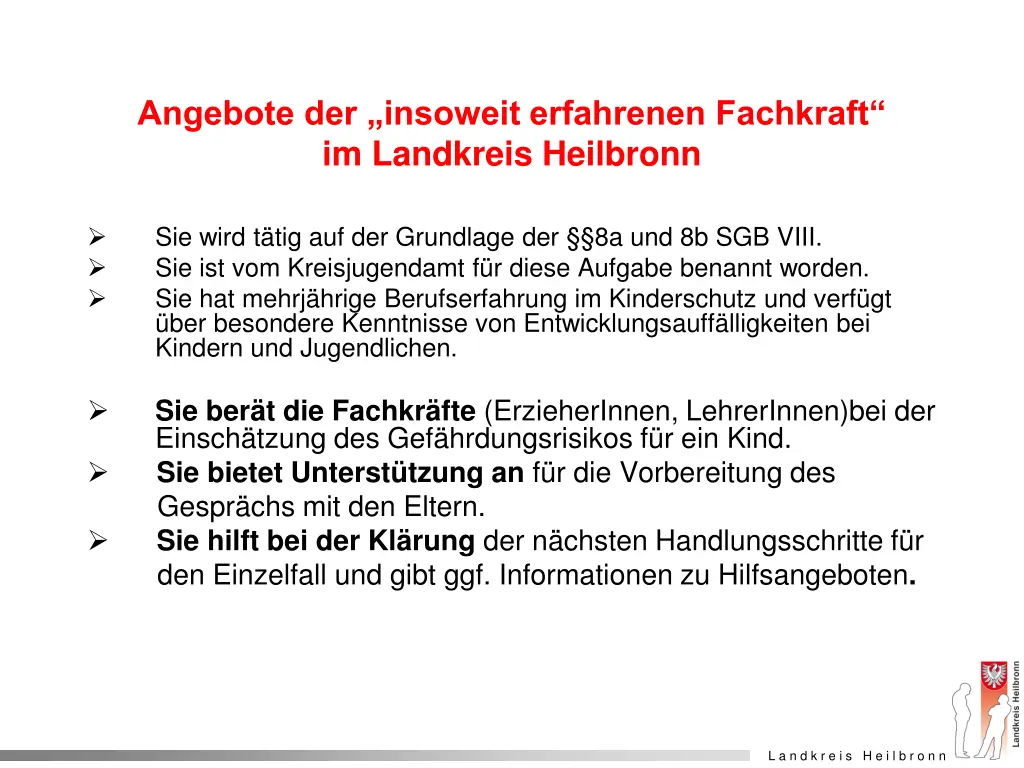 angebote der insoweit erfahrenen fachkraft