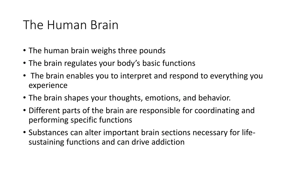the human brain