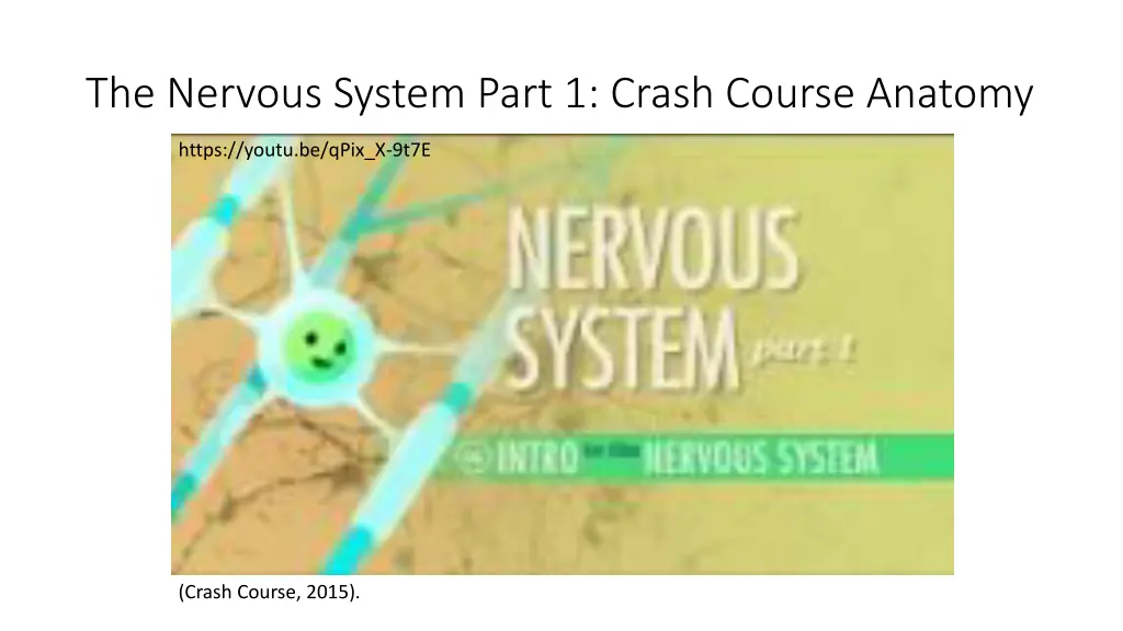 the nervous system part 1 crash course anatomy