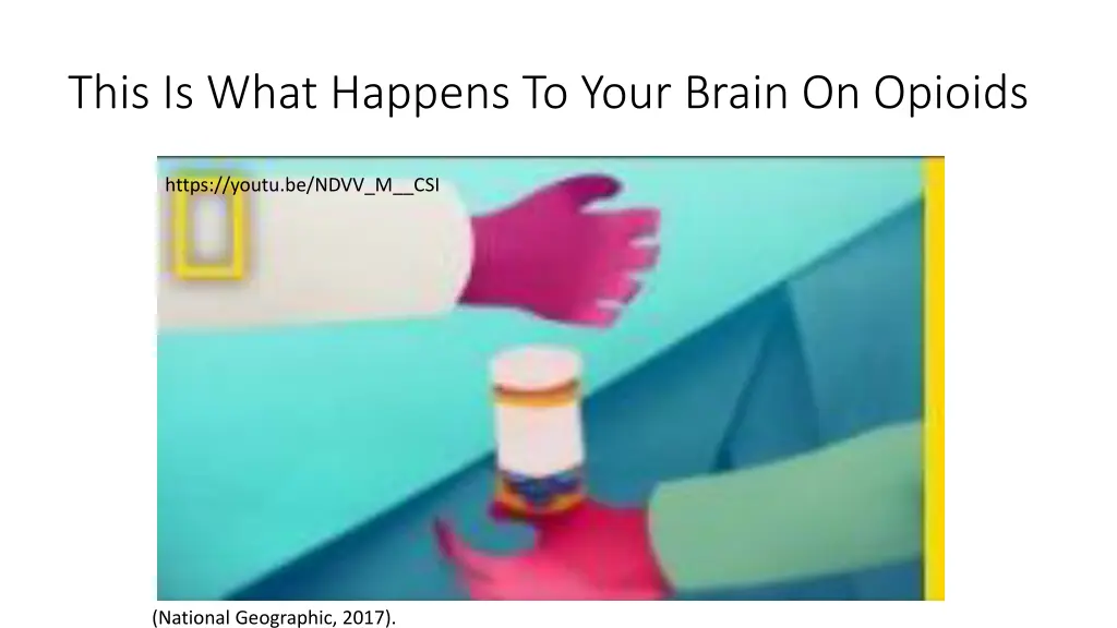 this is what happens to your brain on opioids
