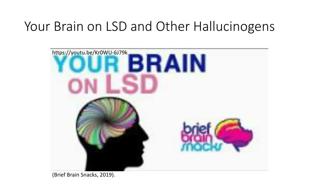 your brain on lsd and other hallucinogens