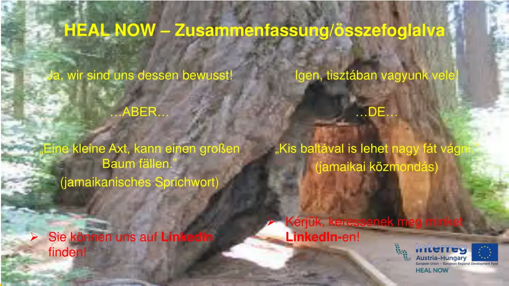 heal now zusammenfassung sszefoglalva