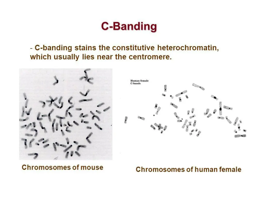 slide6