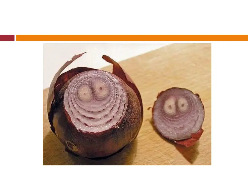 slide13