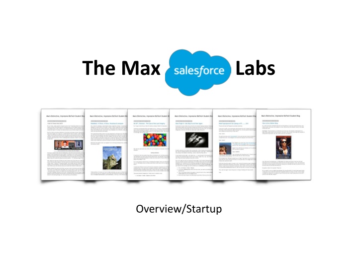 the max labs