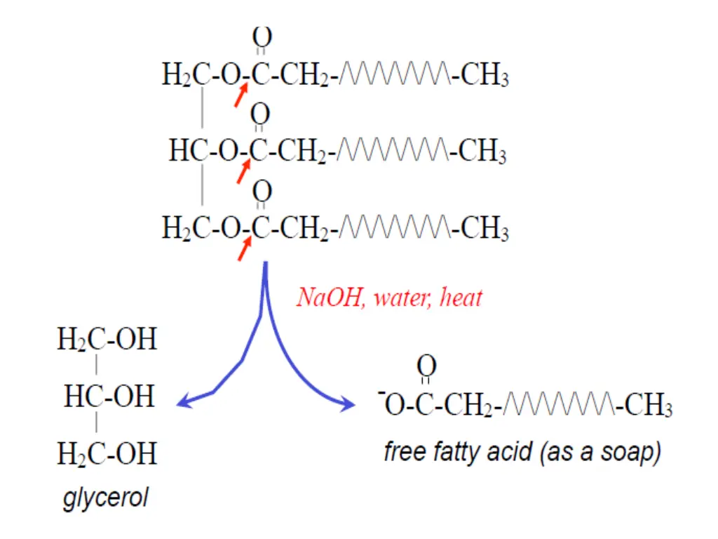 slide11
